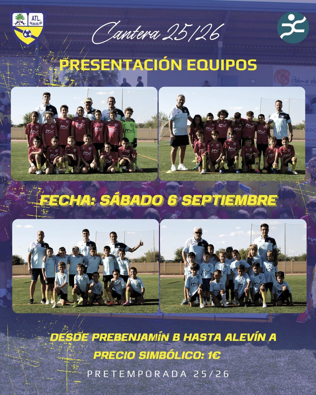 Cantera amarilla 💛